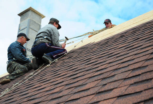 Best Storm Damage Roof Repair  in Carthage, TN